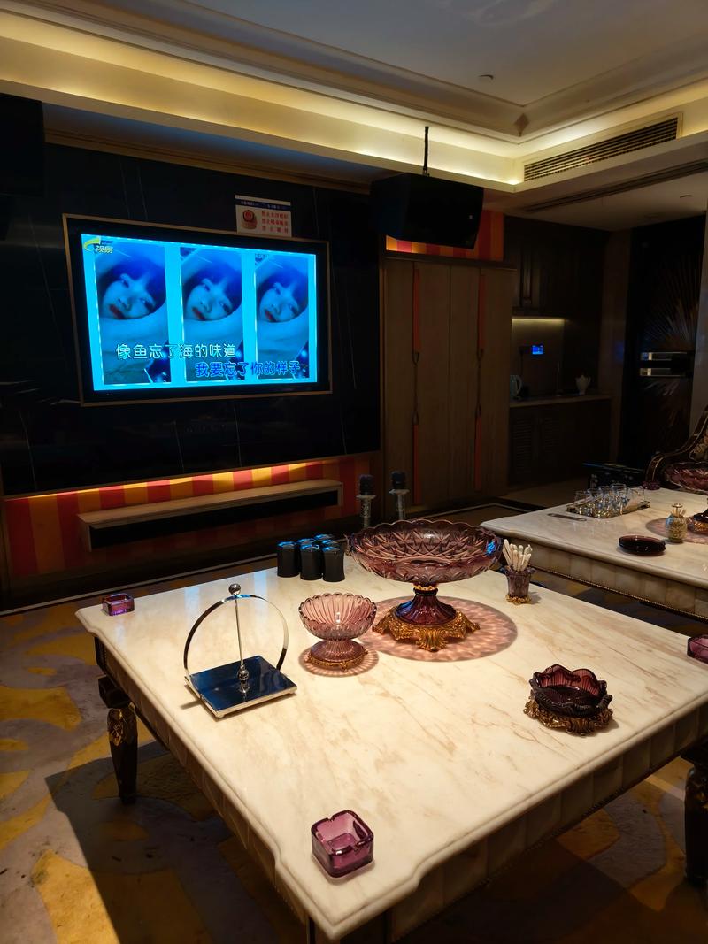 洛阳商务ktv解释-洛龙区ktv预定